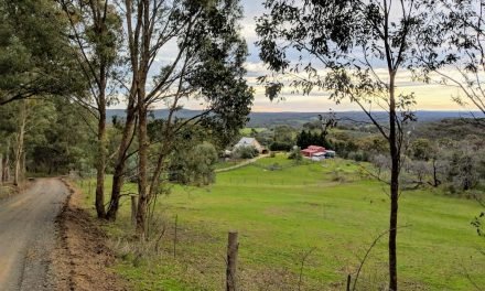 Charlies Road Residents Prevail in Council