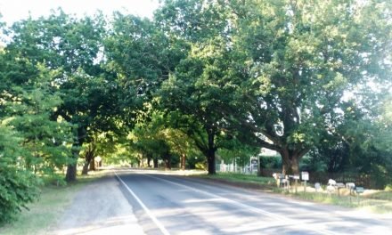 The Daylesford-Malmsbury Road