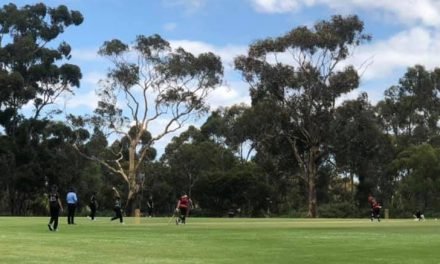 Hepburn Cricket Club Through to the Pointy End