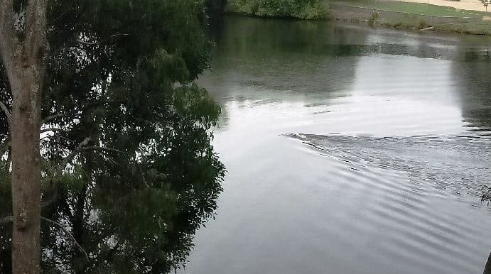 Return to Lake Daylesford