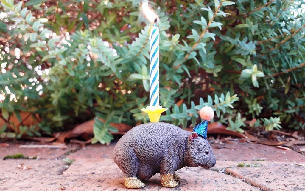 The Wombat Post Turns One