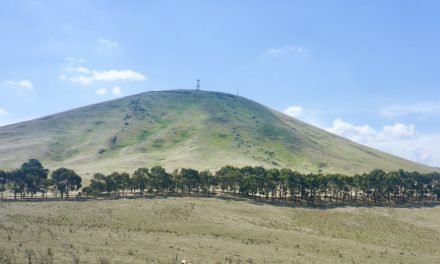 Guided Walks to Local Peaks