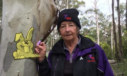 ‘RDA is Better than Sliced Bread’ Says 25-Year Volunteer Wendy Hogben