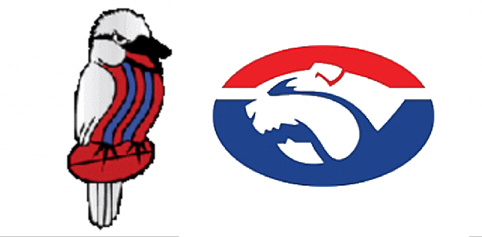 A Chance for Footy and Netball Finals