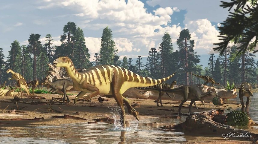 Dig for Fossils in the Library! Which Dinosaur Will You Find?