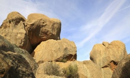 Park Activities for Kids