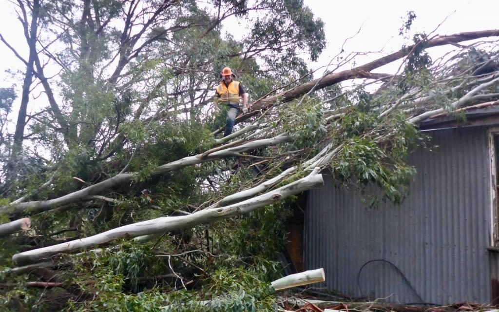 Help Available for Residents with Storm Damage