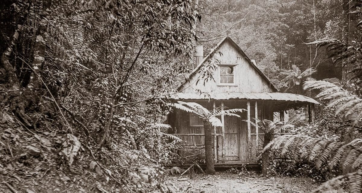 Mountain Hut Mystery