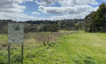 DELWP Proposes Private Sale of Public Parkland at Cornish Hill