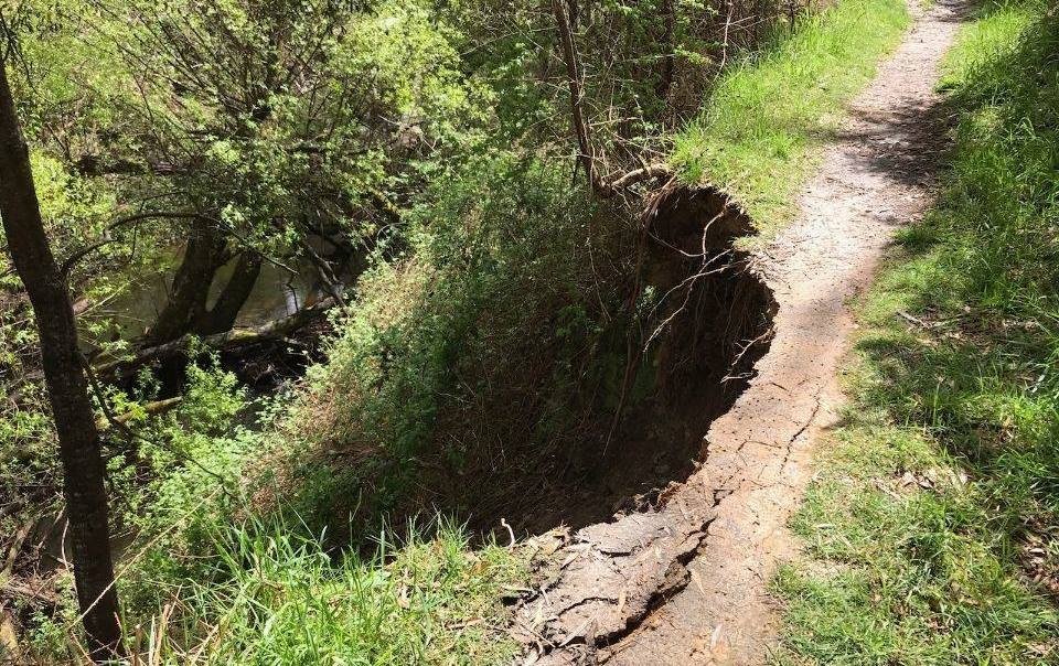 Damage to Local Walking Tracks