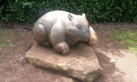 The Wombat Post Celebrates World Wombat Day!