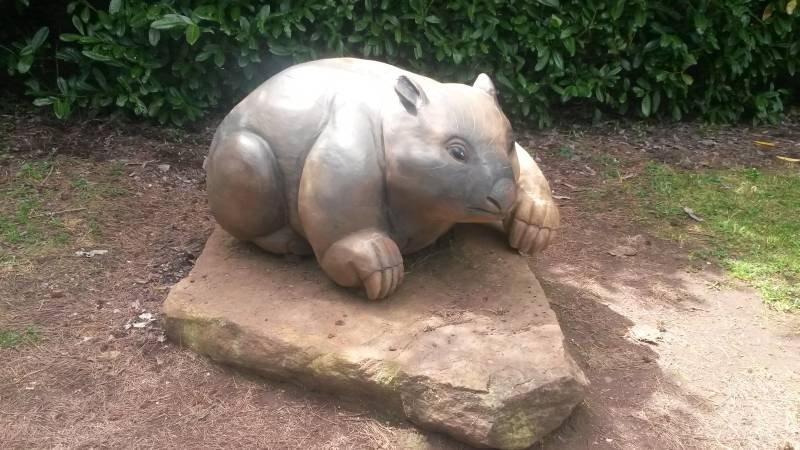 The Wombat Post Celebrates World Wombat Day!