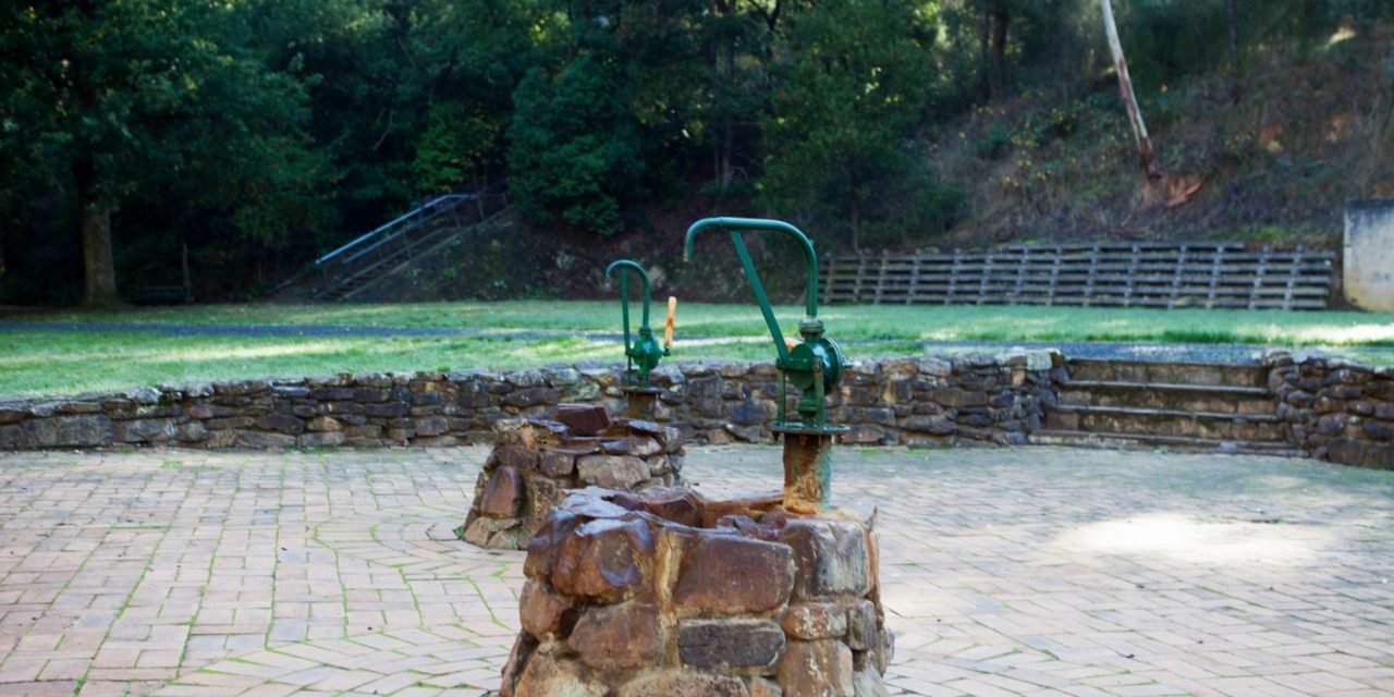 Council Adopts Vision for Central Springs Reserve