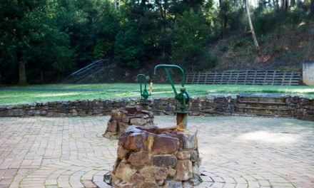 Council Adopts Vision for Central Springs Reserve