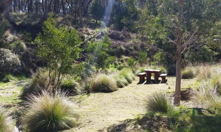 Maintaining the Cornish Hill Creek Track