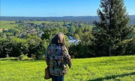 A New Seating Pavilion for Wombat Botanic Gardens