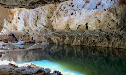 The Battle of Tunnel Creek