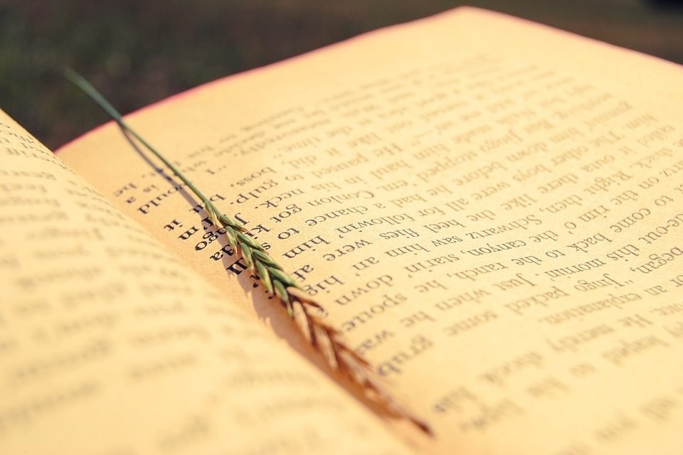 Bookmark