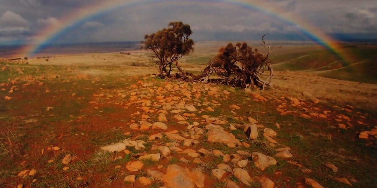 A Blot on the Landscape