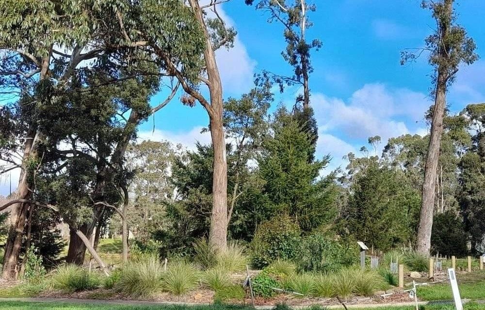 Biodiversity Grants Awarded