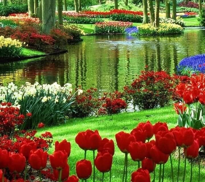 The Spring Collection