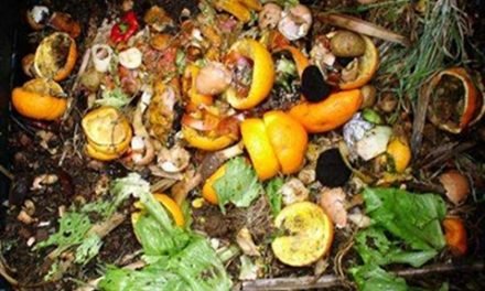 Council Supports Composting
