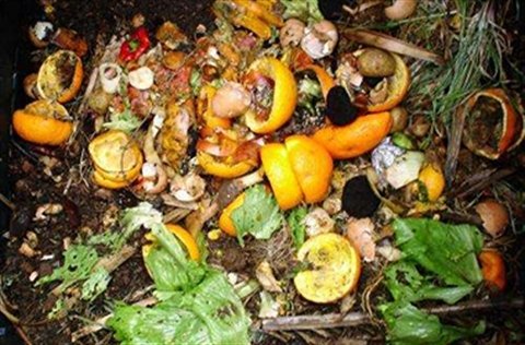 Council Supports Composting