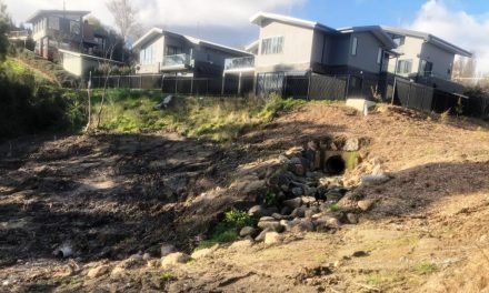 Bleakley Street Units Removed from Sale