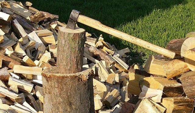Firewood Collection Season is Open