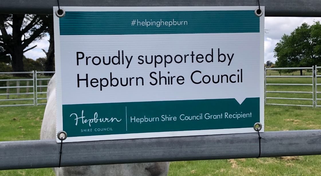 Council to Review Grants Program