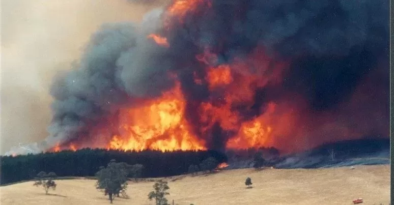 Prepare for Bushfires by Attending CFA Fire Ready Events