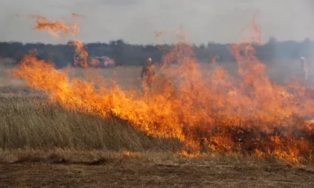 High Risk of Grass Fires