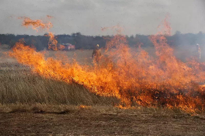 Get Busy on Fire Preparations
