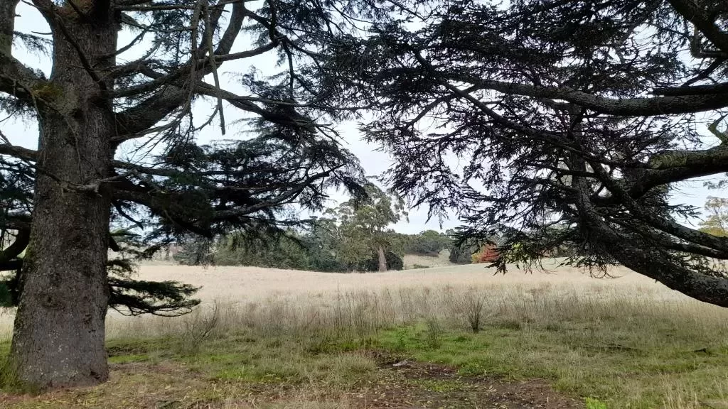 Council Approves Middleton Field Developments but Spares the Trees