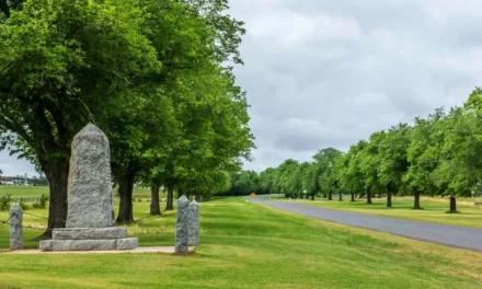 A Boost for the Kingston Avenue of Honour