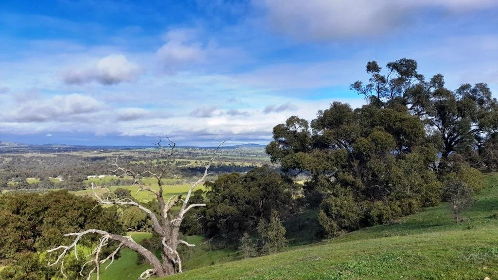 July was Hotter and Drier – Even if it Didn’t Seem Like It