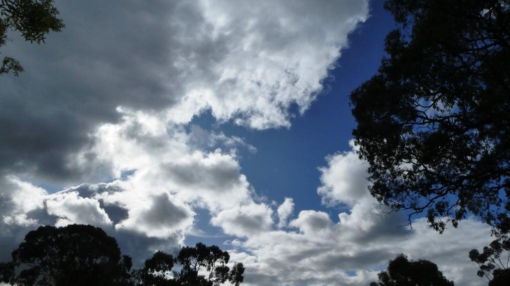 Early Spring? Or the Usual Mixed Weather? And Watch Out for Atmospheric Rivers!