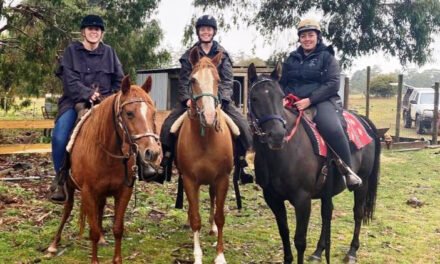 The Big Adventure 2.0 – Ride for Breast Cancer
