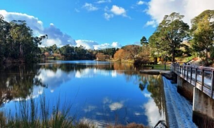 El Nino to Persist Until at Least the End of Summer