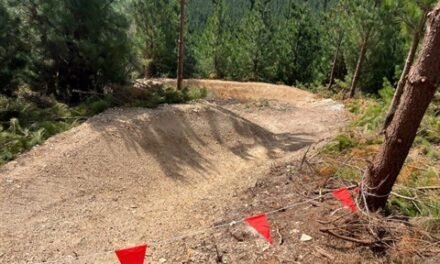 Creswick Trails Project on Track