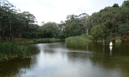 Central Highlands Water Releases Annual Water Outlook