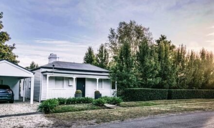 Life Returns to the Property Market 