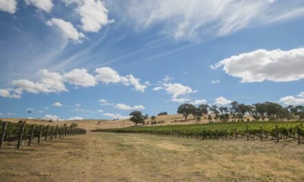 Food Friendly Sangiovese