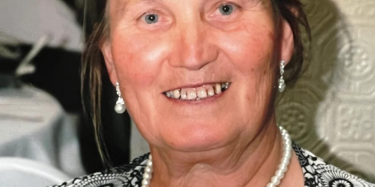Katica Spis