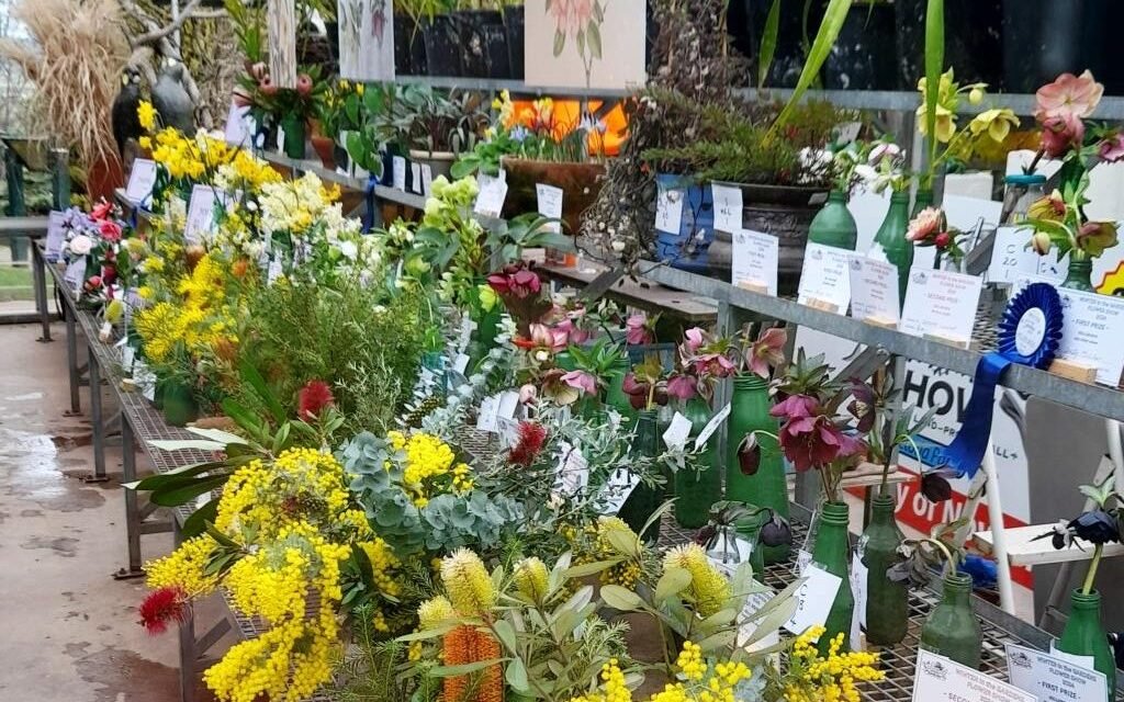Winter in the Gardens Flower Show Winners