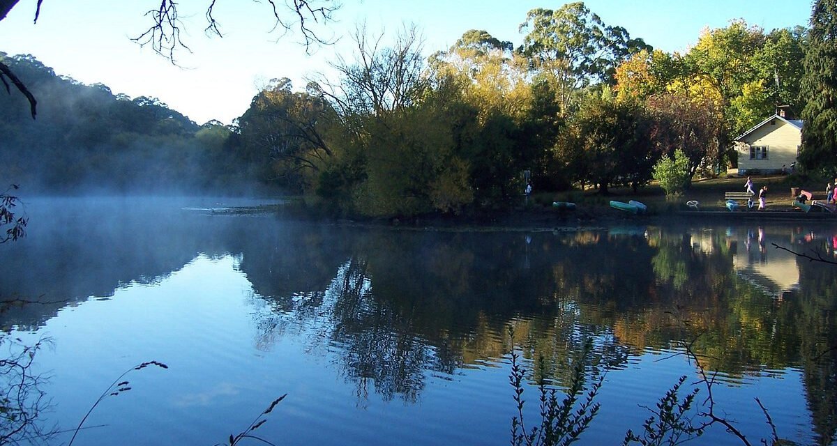 Try Bushwalking in November