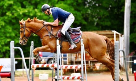 Helping Regional Shows Thrive