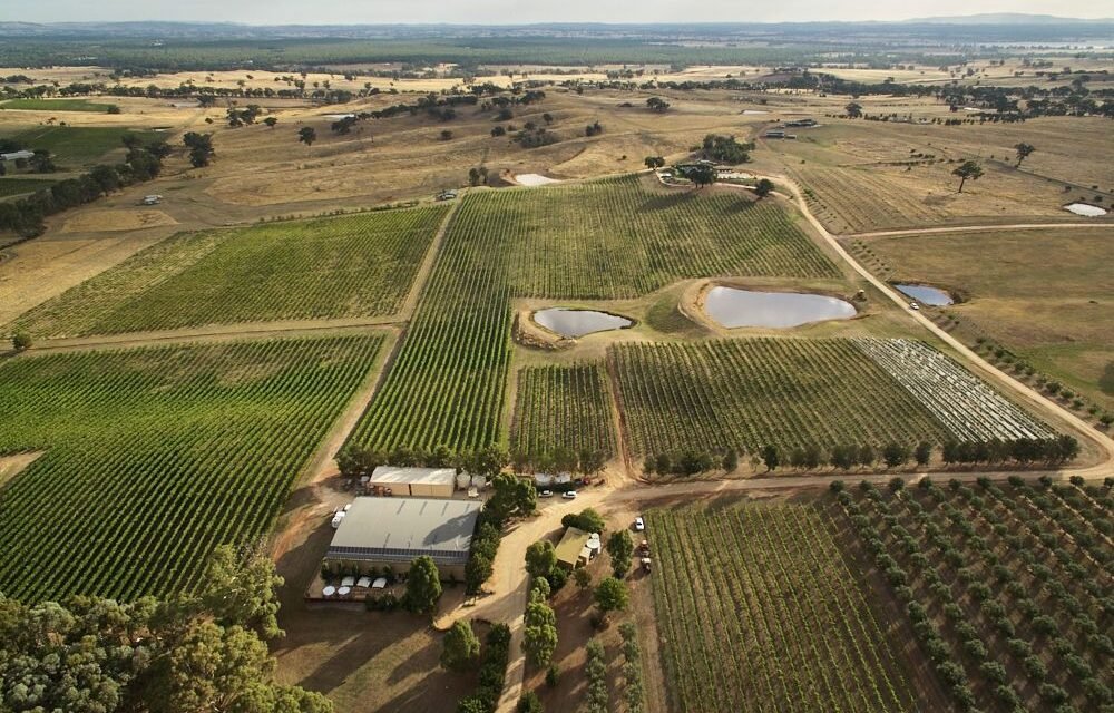 Heathcote Wineries Day Trip