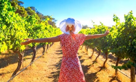 Margaret River Destination Guide: Top Drops and Fine Fare