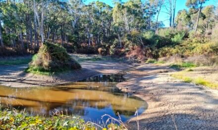 Of Droughts and Flooding Rains